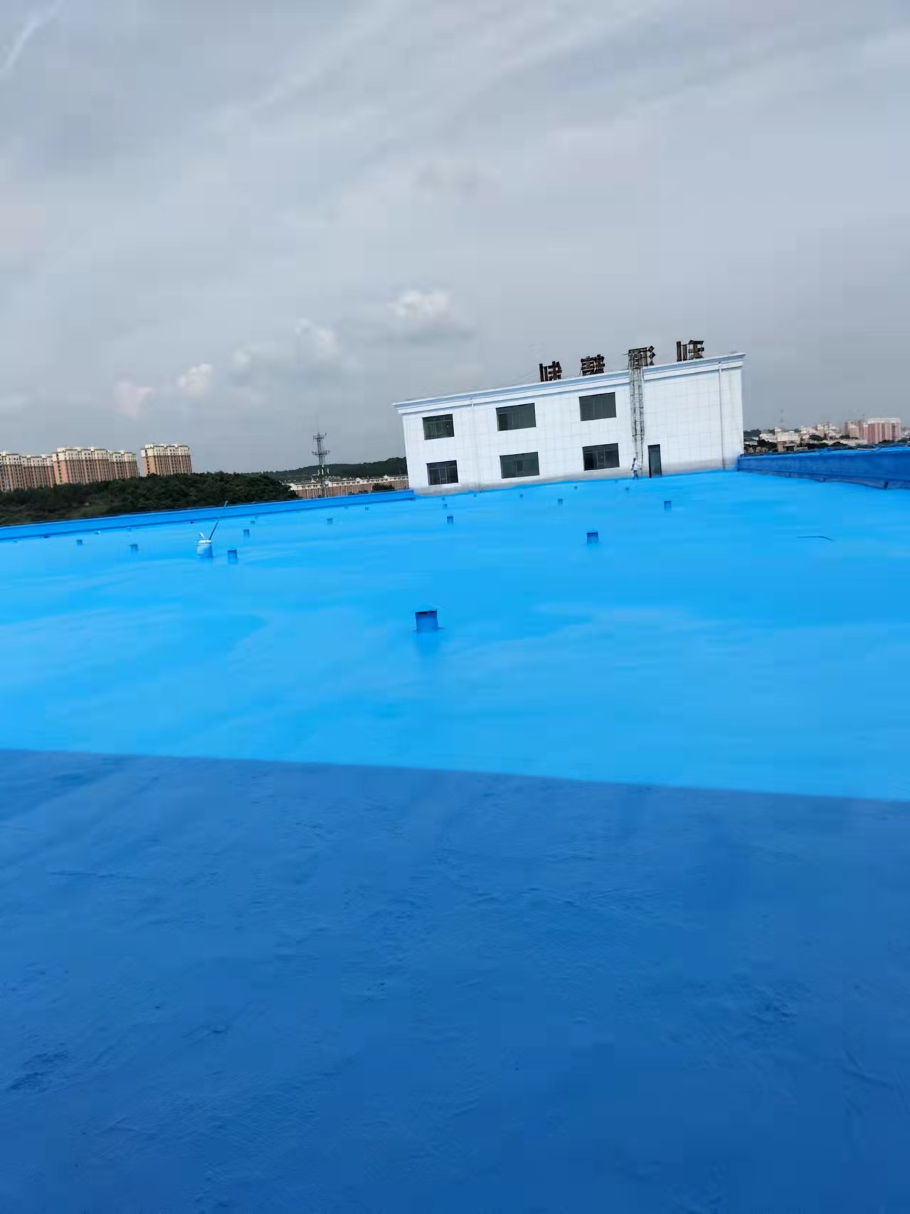 微信圖片_20250314131426.jpg